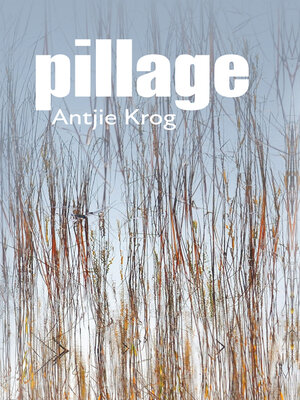cover image of Pillage